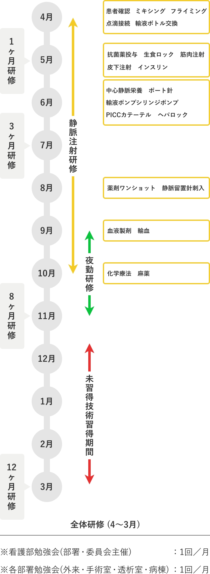 新人年間スケジュール